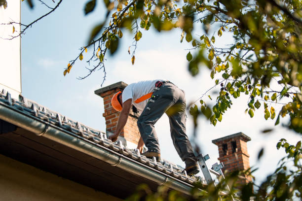 Best Rubber Roofing (EPDM, TPO)  in Pacifi, CA