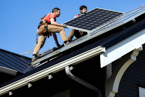 Best Roof Moss and Algae Removal  in Pacifi, CA